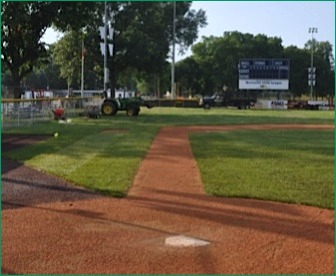 Kentucky Bluegrass Turf